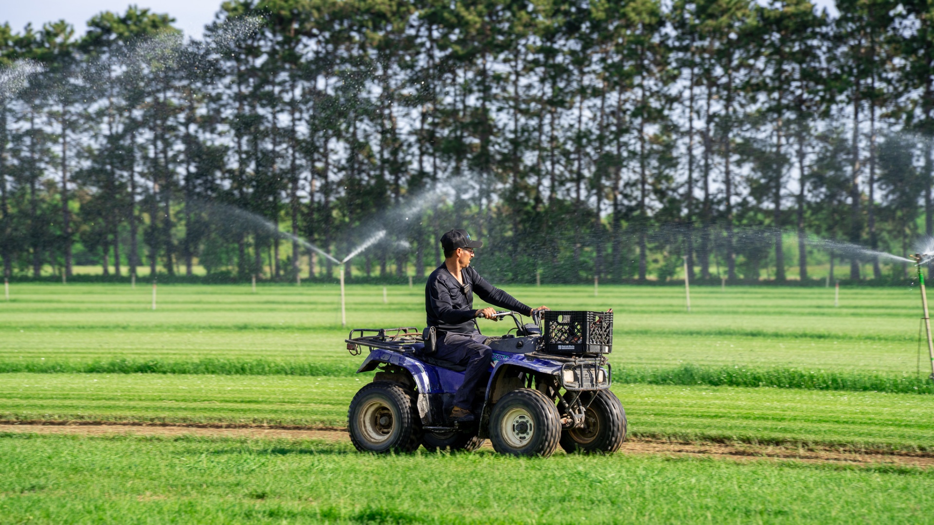Producteur sur son quad dans le champ de tourbe à Saint-Thomas