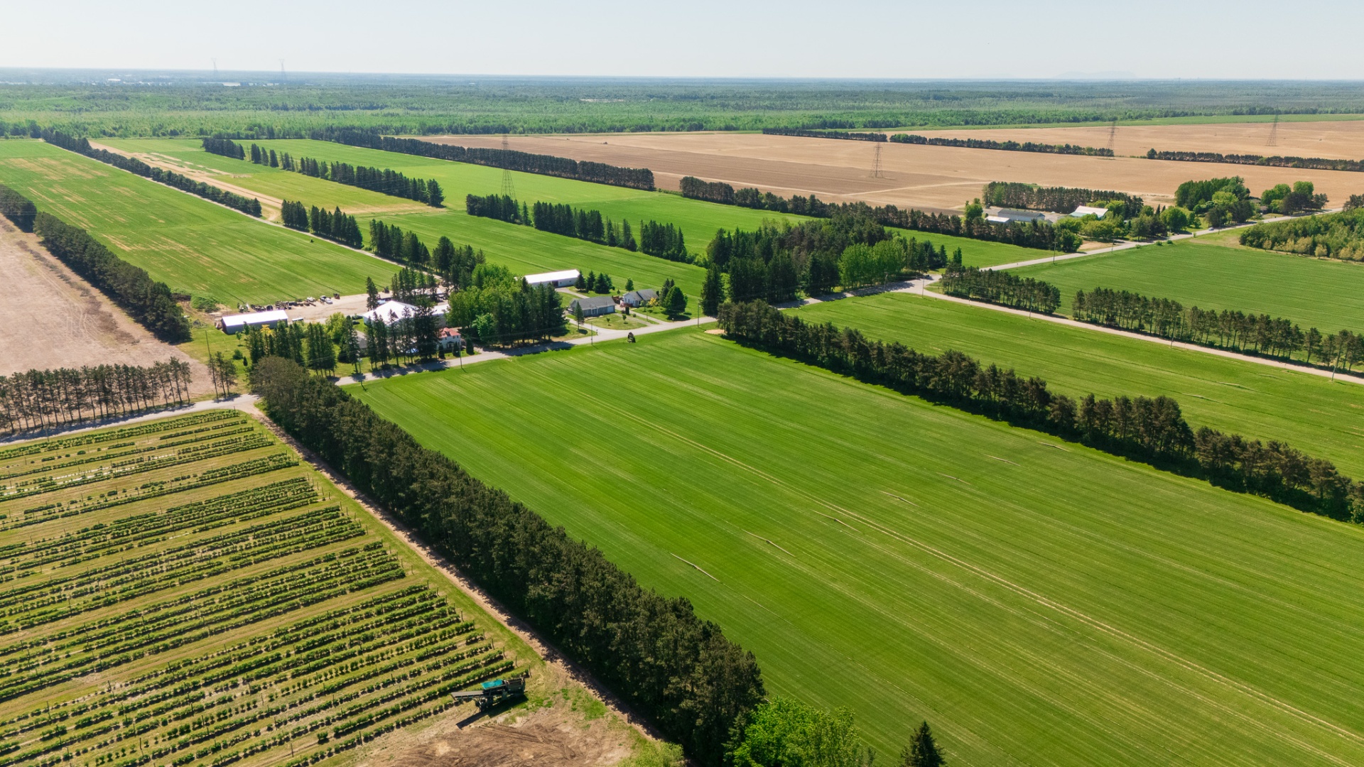 Vue aérienne des champs de tourbe Tholano à Saint-Thomas